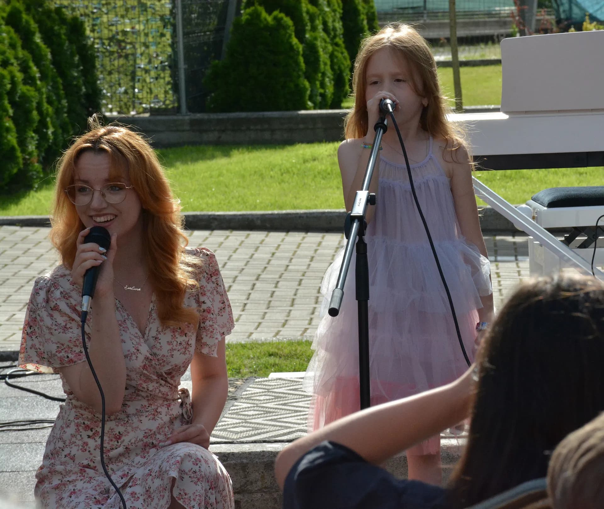 Gabriel Bîrjovanu - Concert 17 Iunie, Palatul Culturii Iași