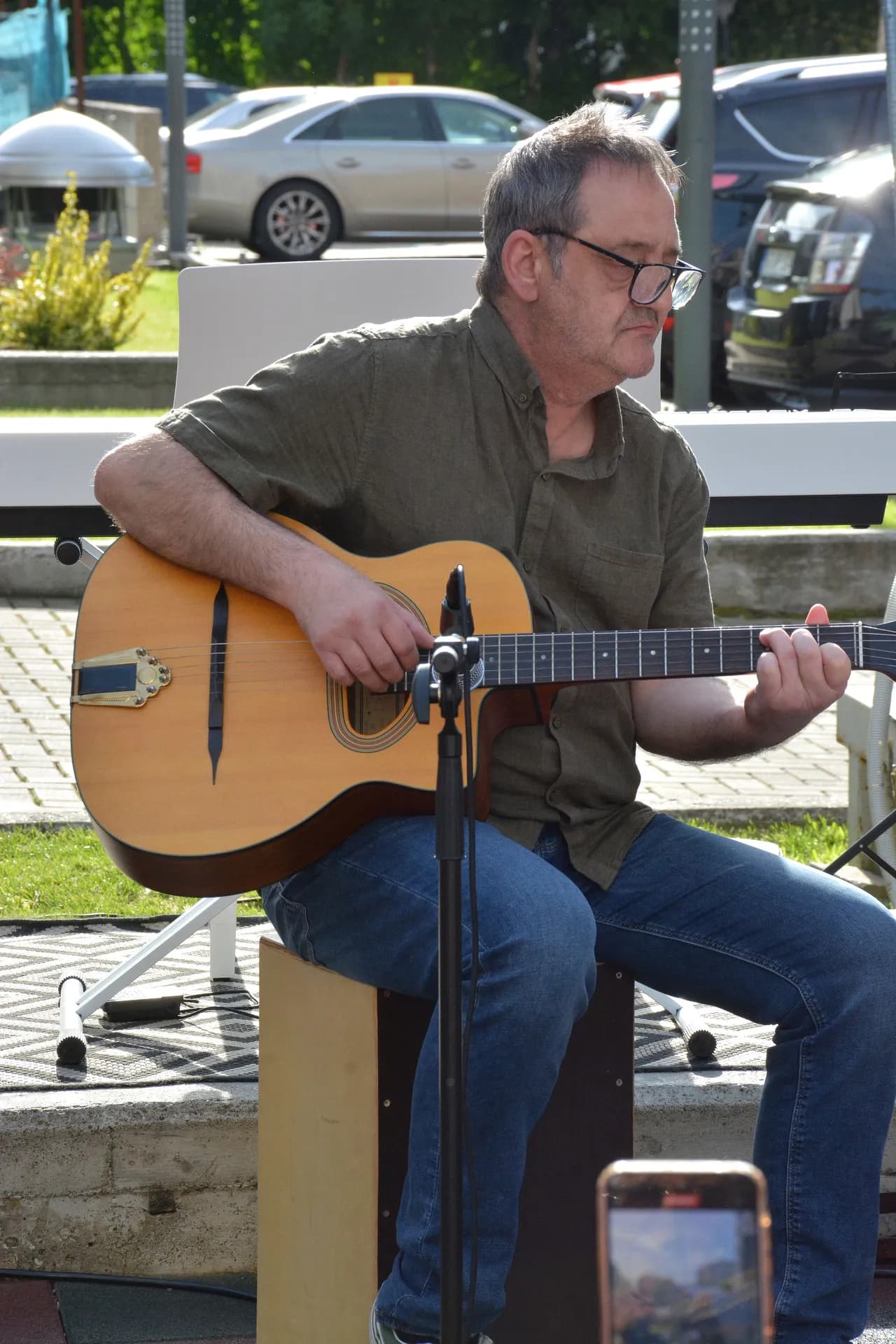 Gabriel Bîrjovanu - Concert 17 Iunie, Palatul Culturii Iași