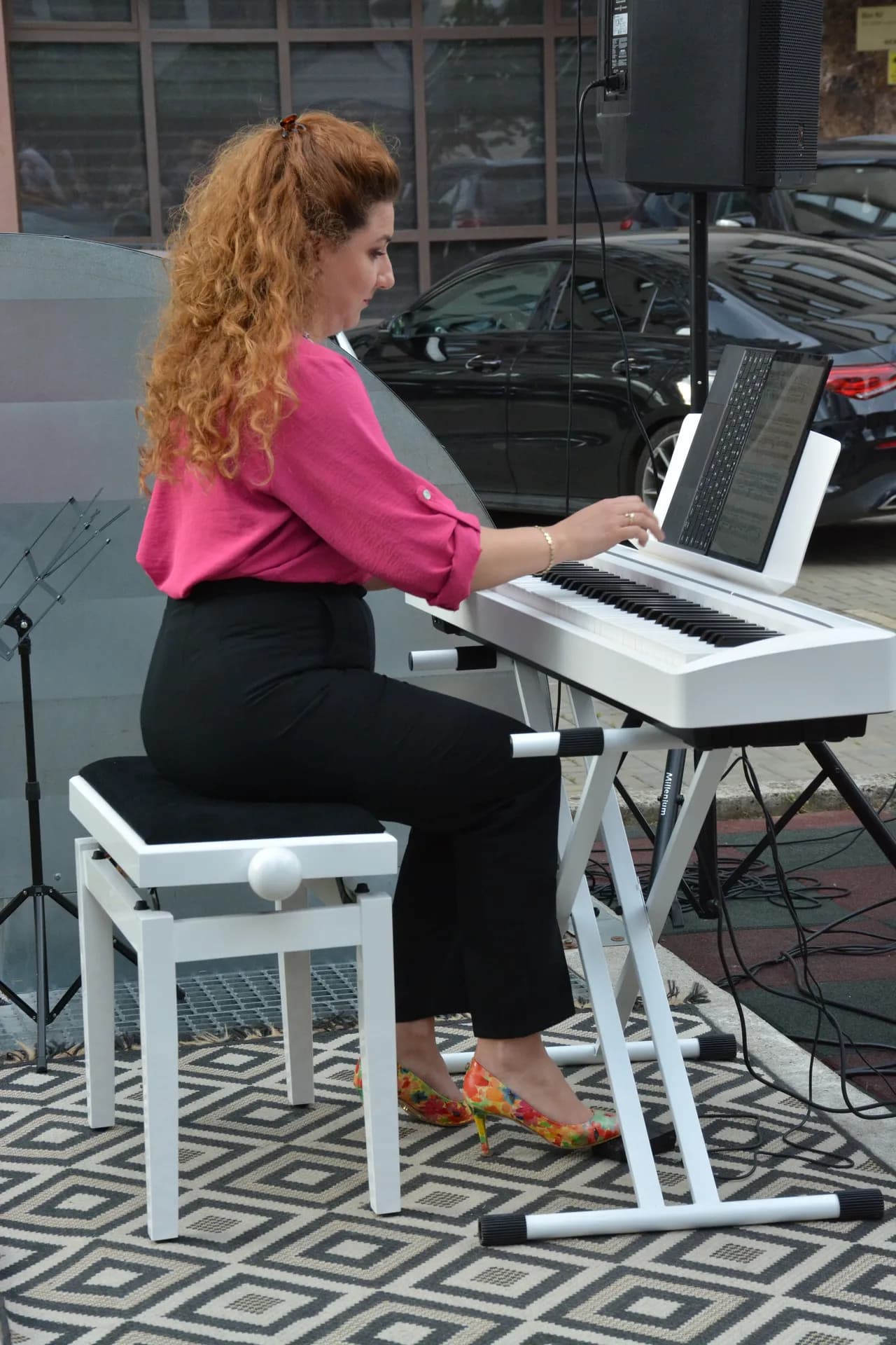 Gabriel Bîrjovanu - Concert 17 Iunie, Palatul Culturii Iași