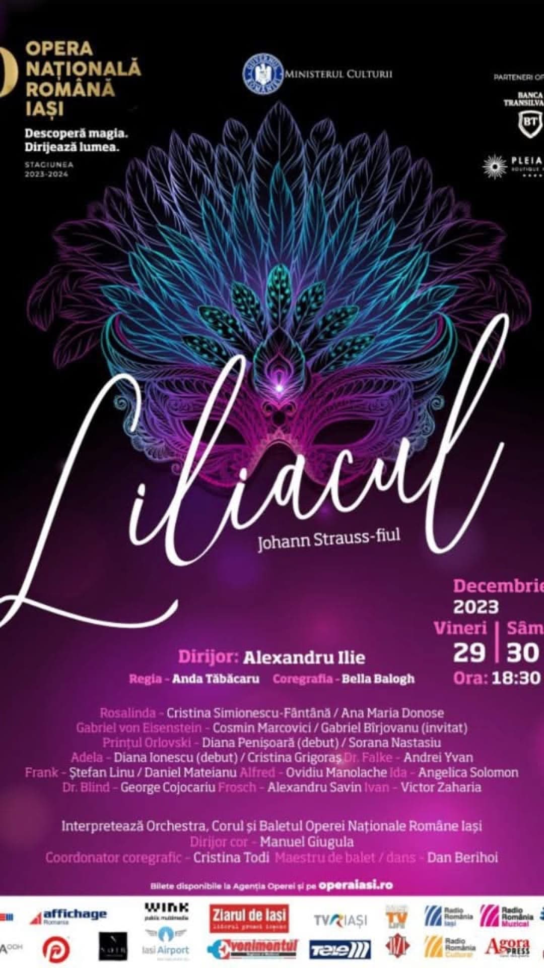 Gabriel Birjovanu - Theatrical expression