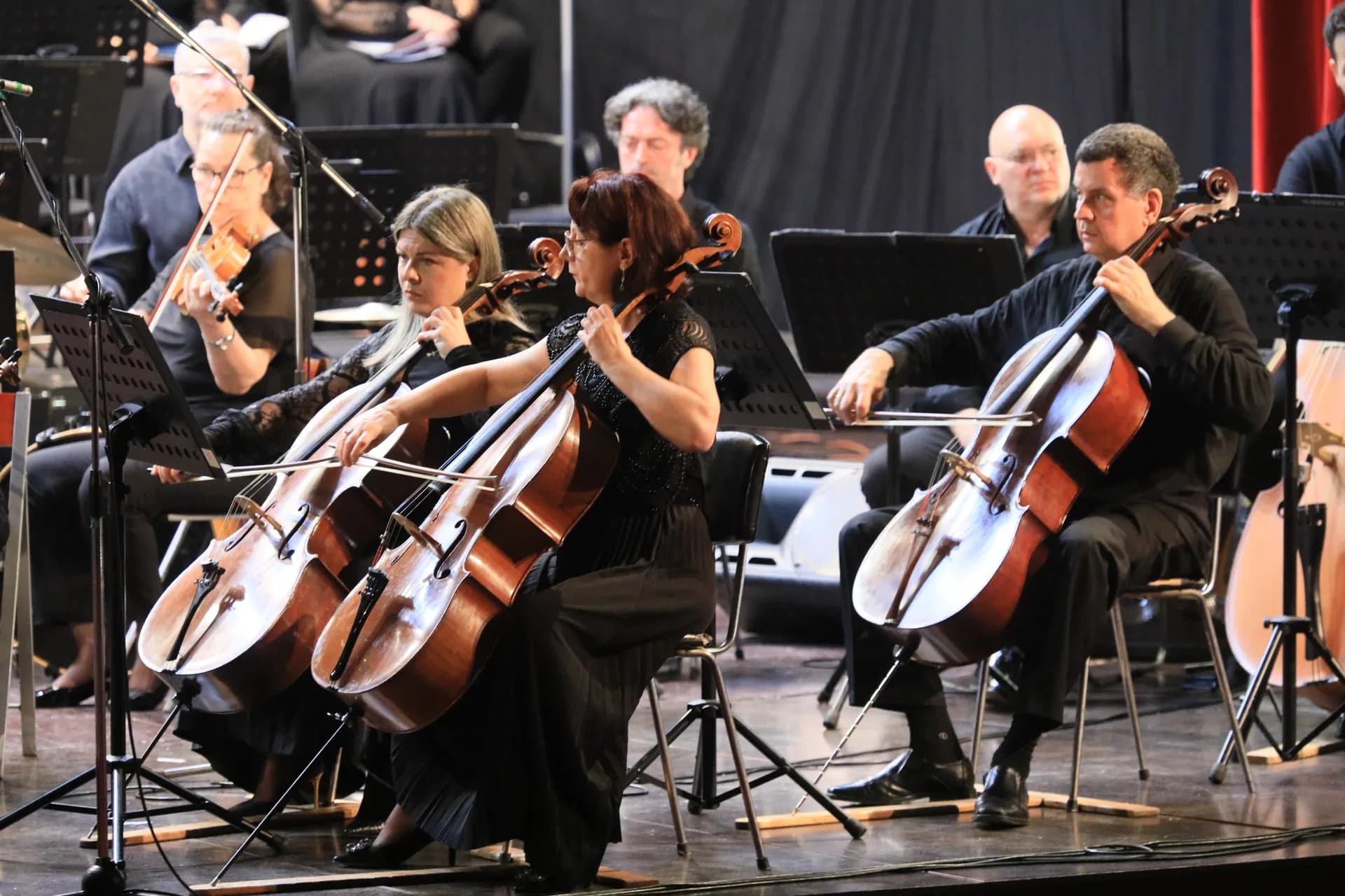 Concert Extraordinar In Memoriam Eugen Doga - Gabriel Bîrjovanu