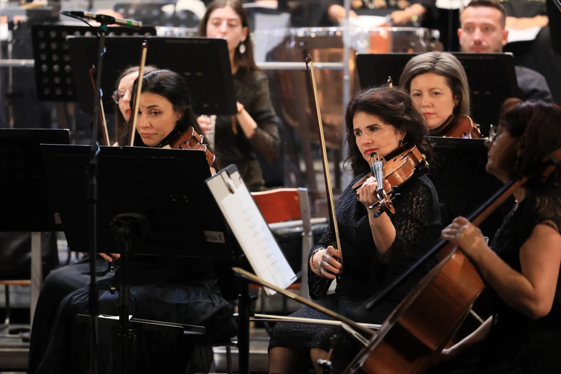 Concert Extraordinar In Memoriam Eugen Doga - Gabriel Bîrjovanu